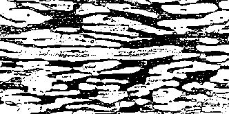 Duplex Stainless Steel