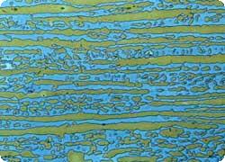 Duplex Stainless Steel